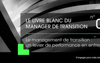 Management de transition : Performance en entreprise