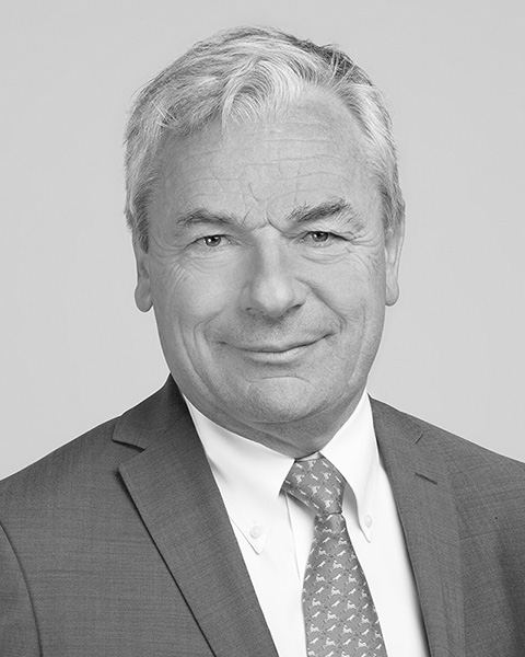 Delville Management comité stratégique - Dominique Gaillard