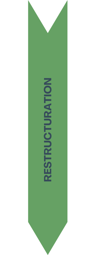 Management de transition private equity - restructuration