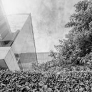 Bilan carbone - Delville Management