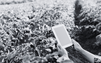 Blockchain dans l'agriculture