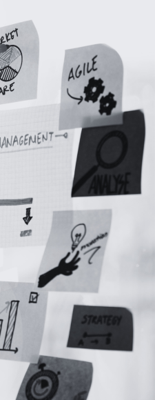 Management transversal 2