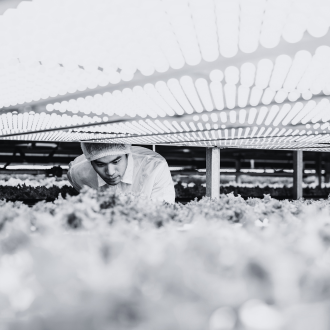 Agriculture durable - gestion des crises opérationnelles