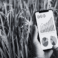 Vers des pratiques agricoles durables