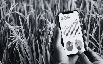 Vers des pratiques agricoles durables