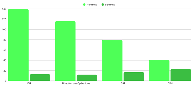 Répartition homme -femme par fonction dans le management de transition