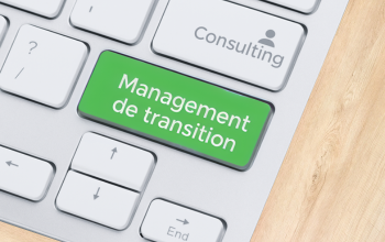 [miniature article] comparer le management de transition au consulting