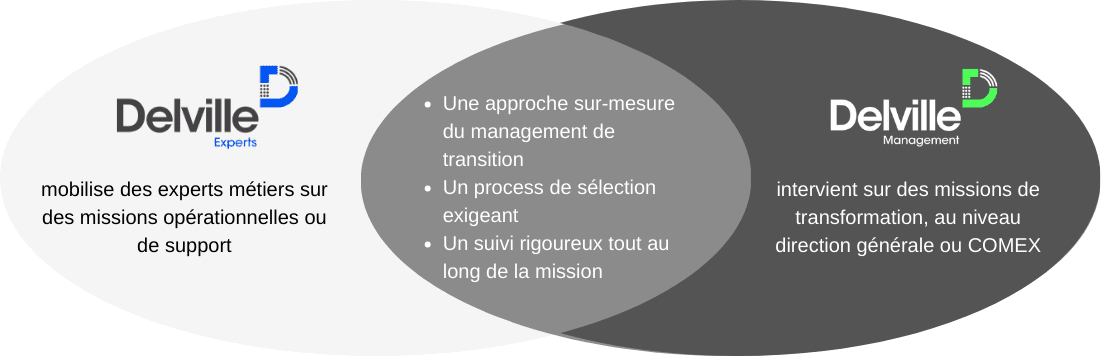 Delville Experts | Delville Management